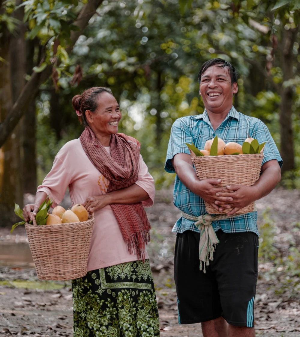 Mango farmers